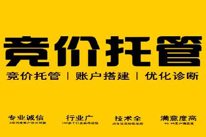 竞价广告的创意与执行：某快消品的营销突破